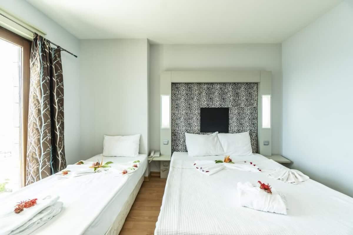 Standard Double or Twin Room | Free WiFi, bed sheets