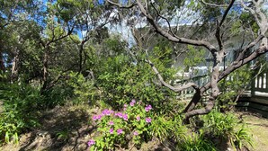 A garden with various plants and a tree. - Tyrone Beach Escape (Rye)