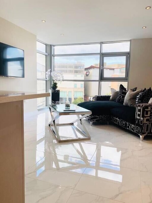 テレビ、DVD プレーヤー