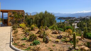 Un jardin désertique avec des cactus et un mur de pierre, offrant une vue sur une ville côtière et des montagnes.