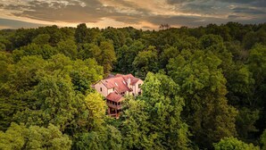 Une maison entourée d’une forêt dense.