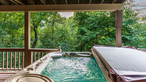 Un bain à remous avec vue sur une forêt.