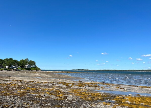 Un paysage côtier avec un ciel dégagé, une côte rocheuse et des maisons en arrière-plan.