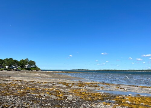 Sand Dollar - Dog-friendly, Steps to the Ocean, Stunning Sunsets