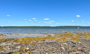 Un rivage rocheux parsemé d’algues et une mer calme où voguent des bateaux.