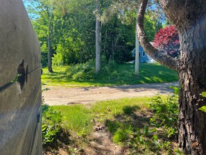Un sentier de terre serpente à travers une zone boisée, avec un grand tronc d’arbre en premier plan.