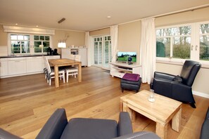 Fernseher, Kamin, DVD-Player, Stereoanlage