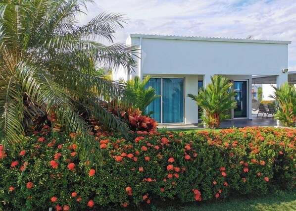 A modern two-story house with a glass door entrance, surrounded by lush greenery and red flowers.