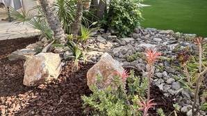 A landscaped garden with palm trees, rocks, and various plants. - Villa with private pool - garden - family vacations near the sea (La Garde)