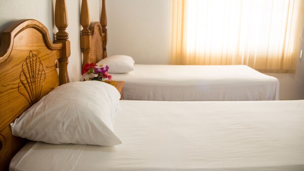 Habitación de hotel con dos camas individuales, cabeceros de madera, ropa de cama blanca y un jarrón con flores en la mesita de noche.