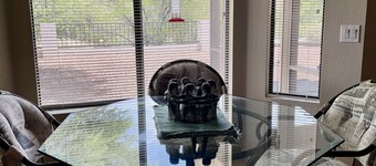 Comfortable Home in Middle of Saddlebrooke