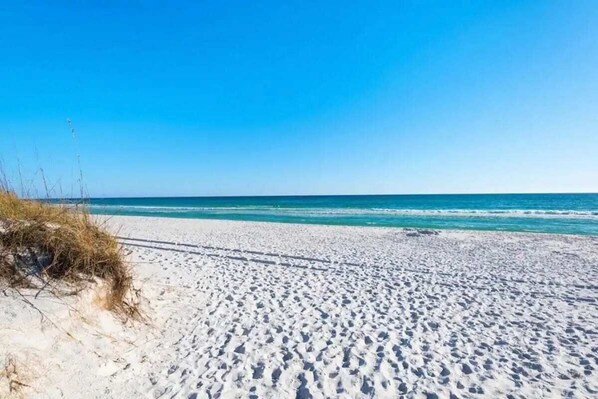 Beach nearby - Private Tropical Oasis Near Beach-Heated Spa Pool (Destin)