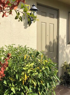 Détail de l’extérieur