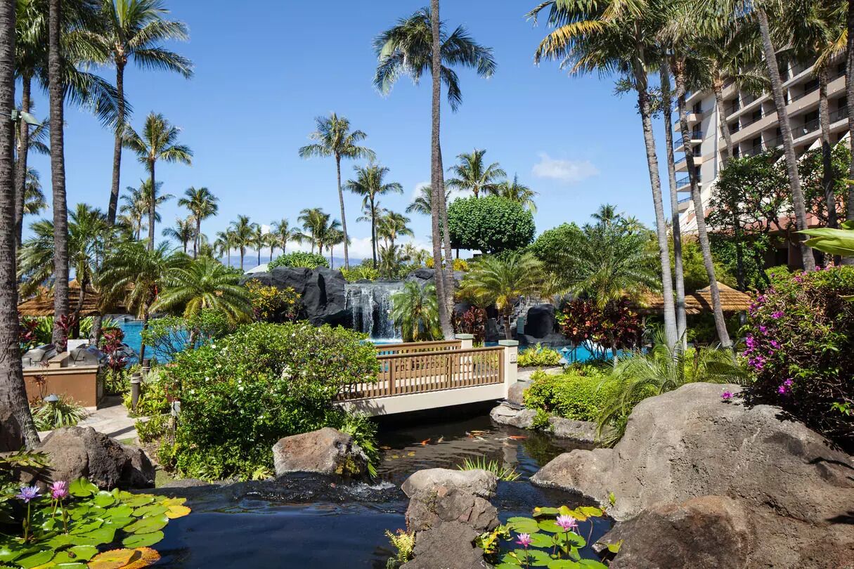 A resort with a waterfall, palm trees, and a pool area.