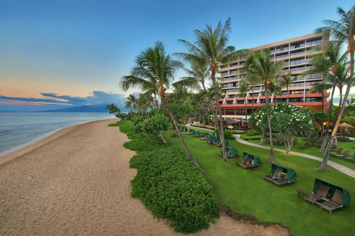 A beachfront hotel with a pool area, palm trees, and a view of the ocean.