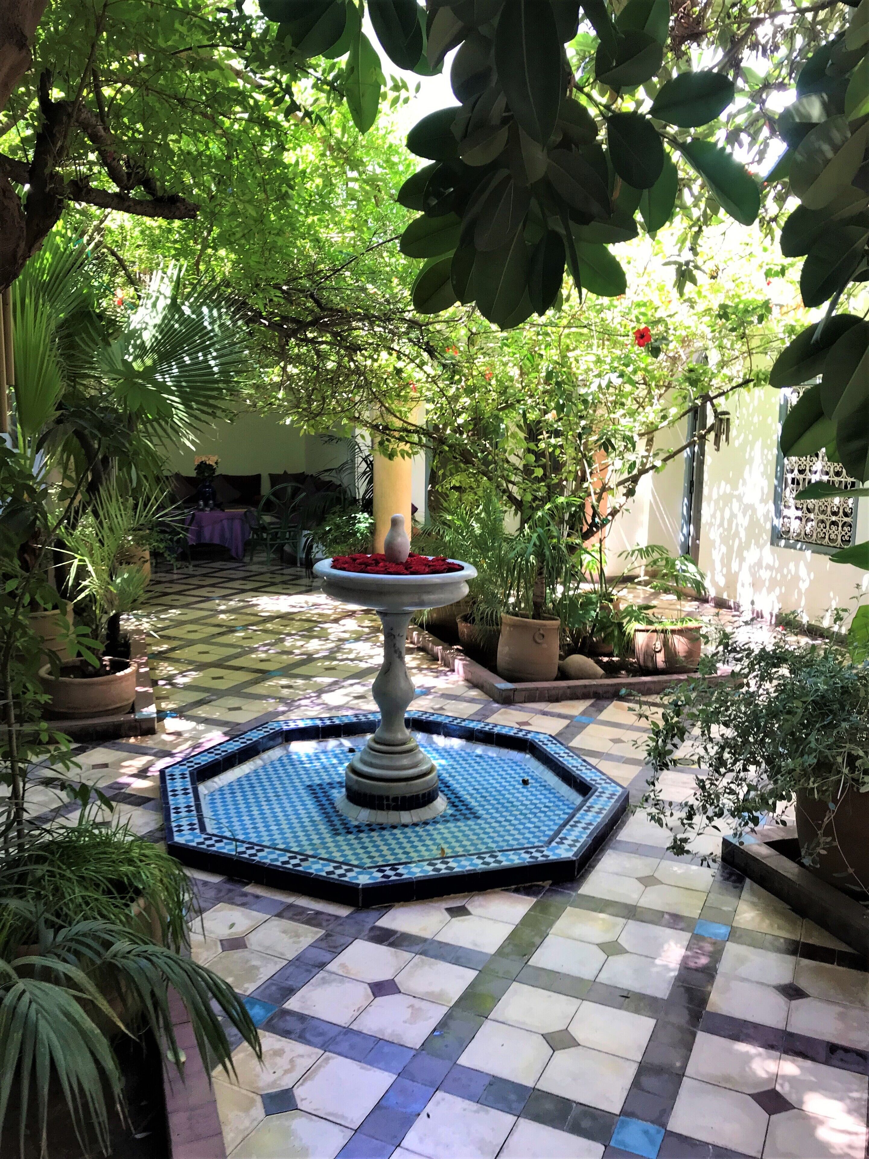 Photo - Riad Sahara Nour