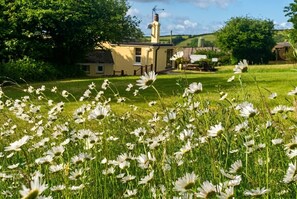 Et landhus med skorsten, omgivet af et florlet hav af hvide blomster.
