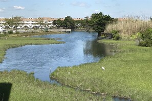 Terrain de l’hébergement 