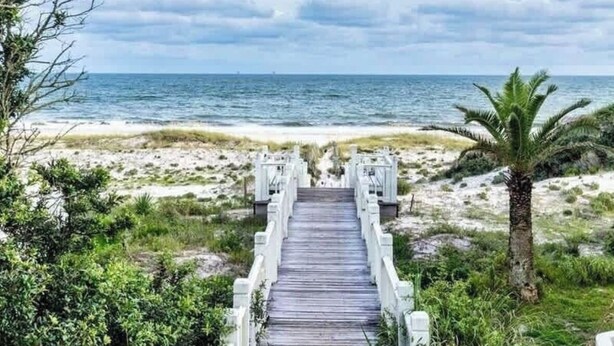 A wooden pathway leading to a beach with a palm tree and a view of the ocean. - KIVA ON THE GULF: PRIVATE BEACH, PREMIER GOLF COURSE, AND 3 POOLS! (Gulf Shores)