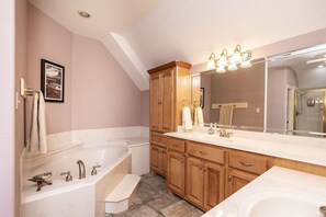 Bathtub, hair dryer, towels