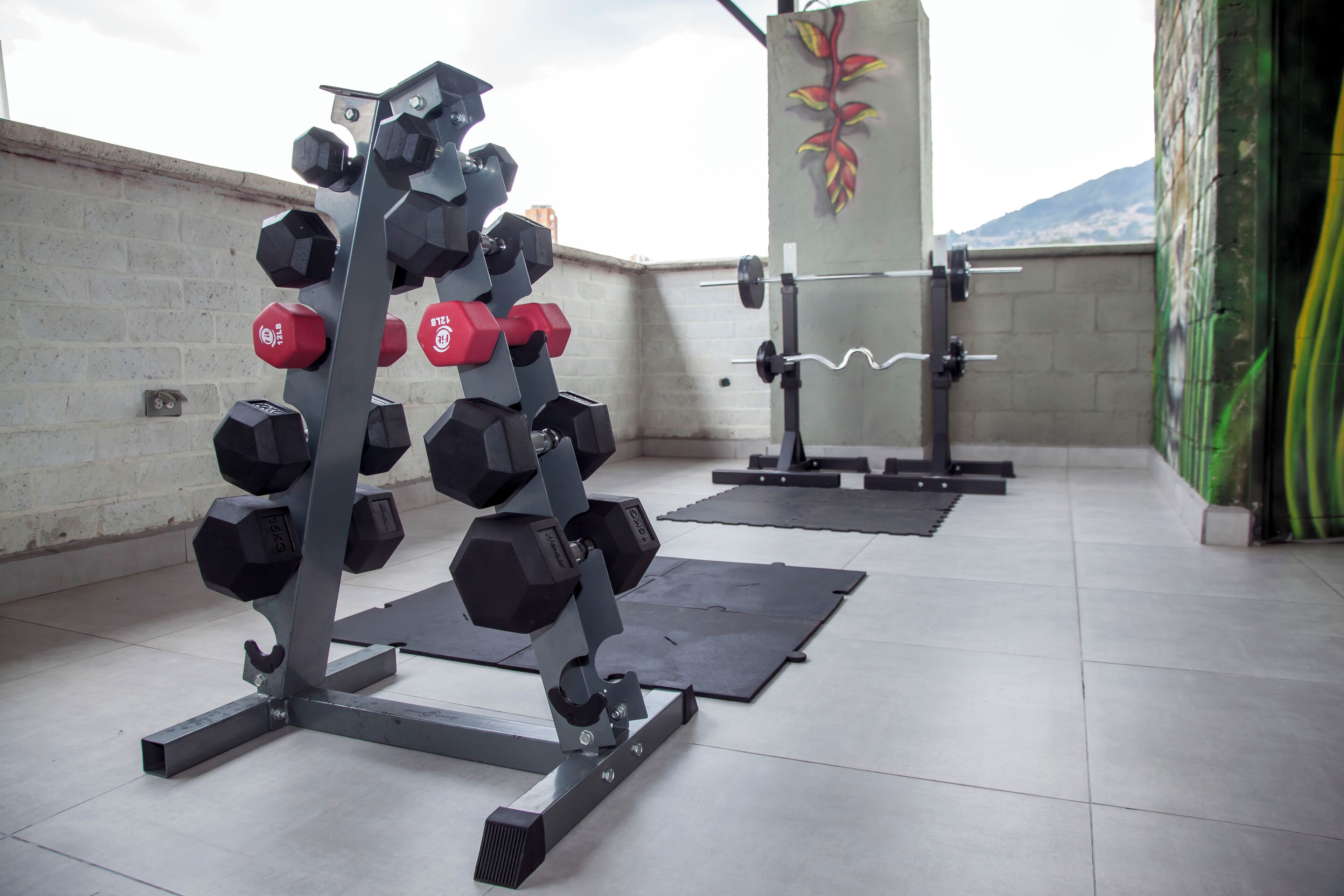 A gym with weightlifting equipment, including dumbbells and a barbell, on a tiled floor with a view of a mountain in the background.