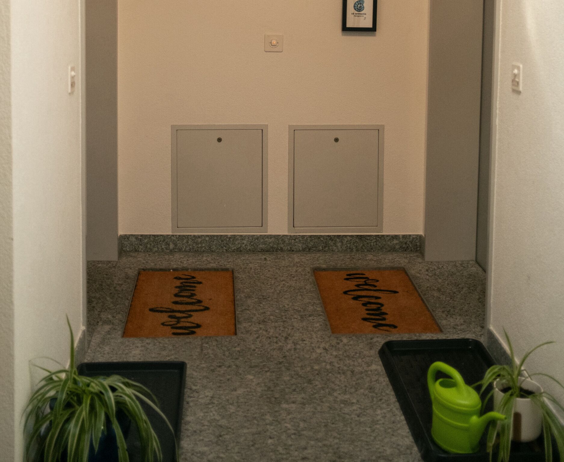 A hallway with two welcome mats, a green water bottle, and potted plants.