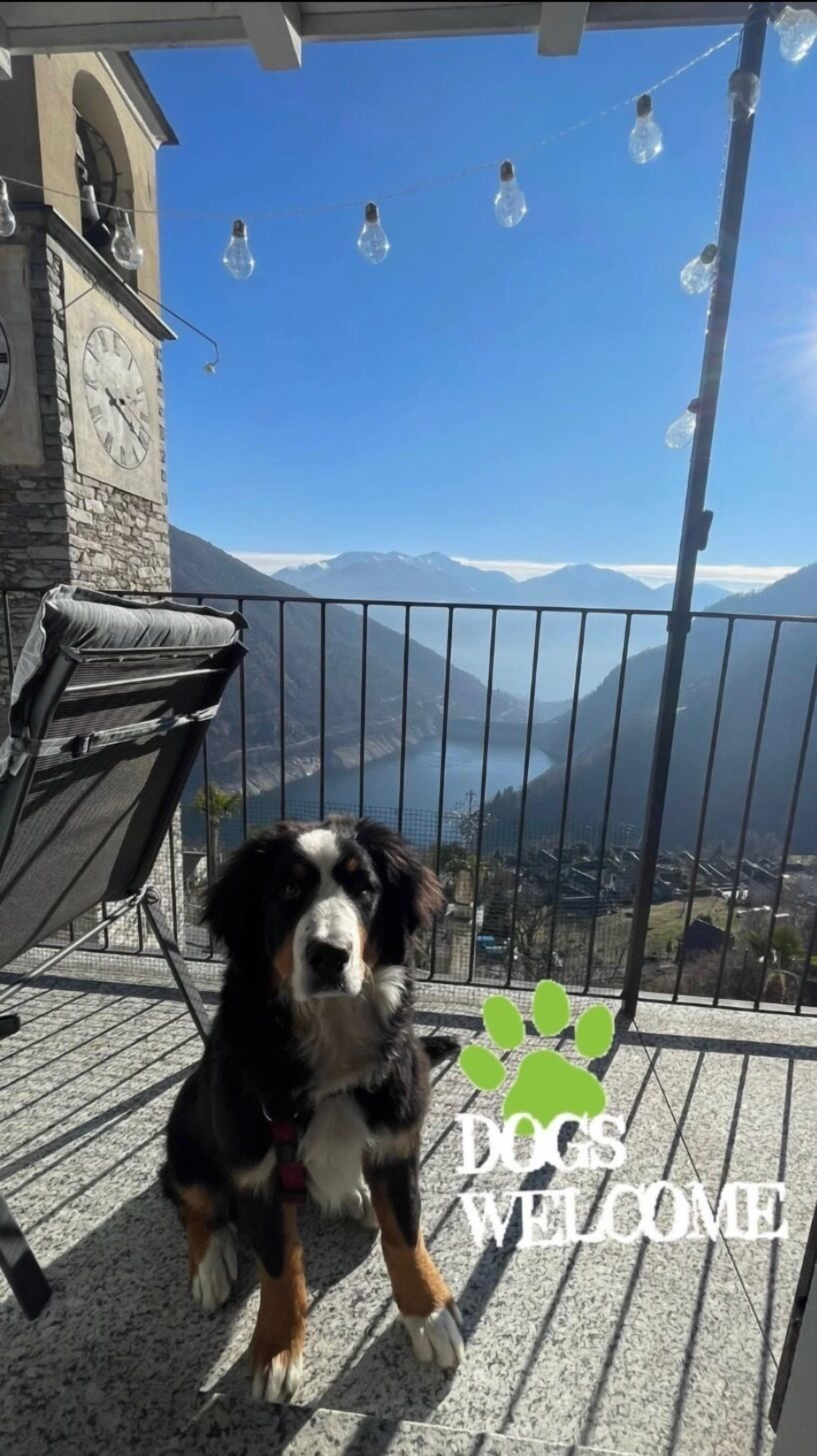 Romantic Apartment, Ensuite, Lagoon View (3 piano) | Miscellaneous