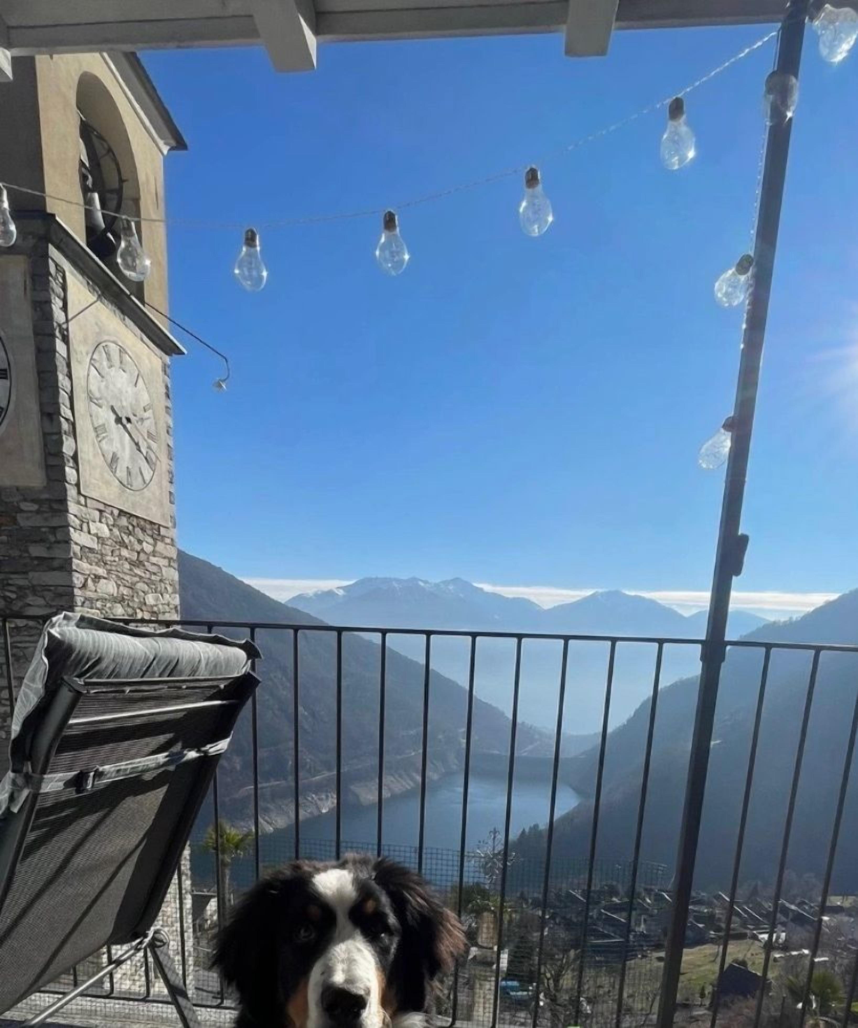 Un chien assis sur un balcon, avec vue sur la montagne, un réveil et des guirlandes lumineuses.
