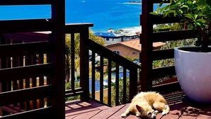 A wooden deck with a view of the ocean and a potted plant. - OCEAN VIEW BUNGALOW - MALIBU, CA (Malibu)