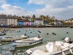 Marina - Quay Cottage. Nautical themed. Right on the estuary. Dittisham. Family friendly. (Dittisham)