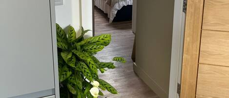 A narrow hallway with a potted plant, a bed with a white duvet, and a wooden door.