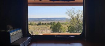 Nature Immersion Silverback