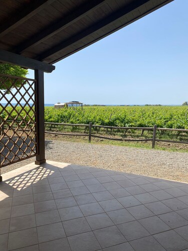 cottage nestled in a vineyard on the sea