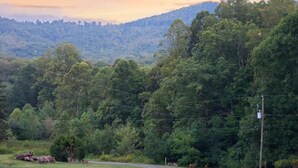 A rural landscape with a winding road, dense forest, and a power line. - Mi Casa is your home Beautiful views (Biltmore lakes)