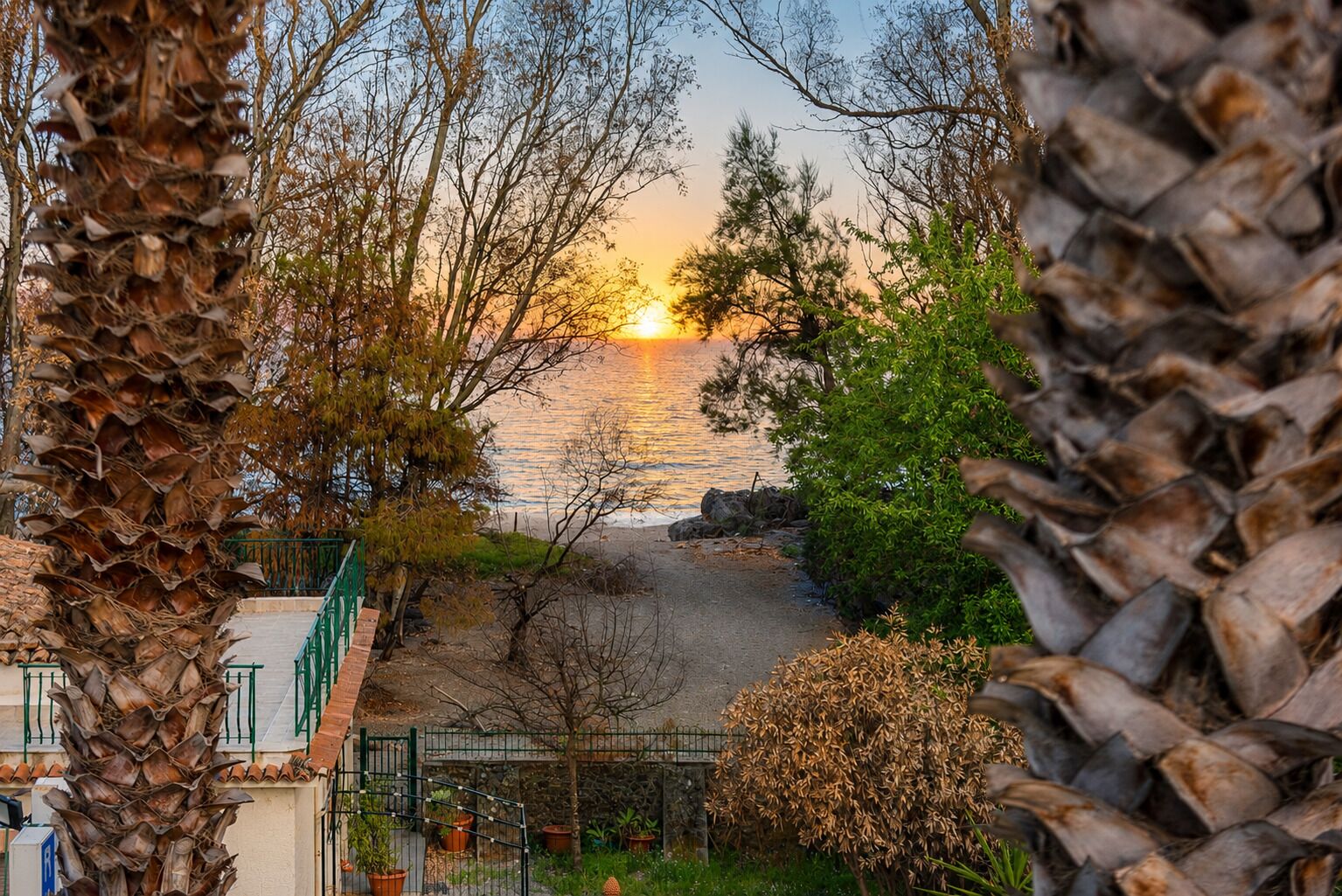 Superior Room | Balcony view