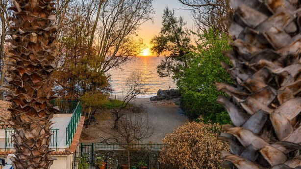 A coastal view with a sunset, a palm tree, and a stone wall. - Oasi Park Hotel (Mascali)