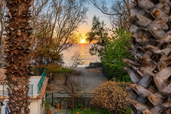 Superior Room | Balcony view