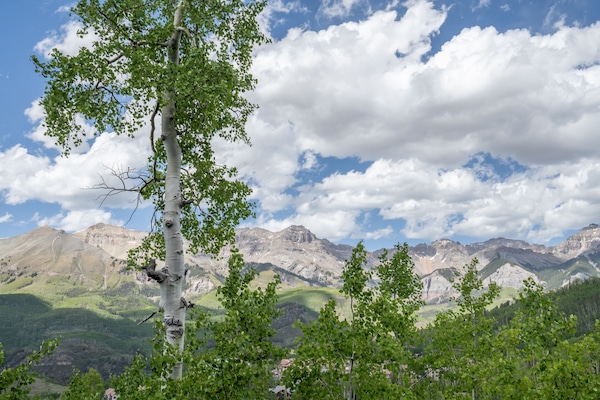 Unparalleled views!