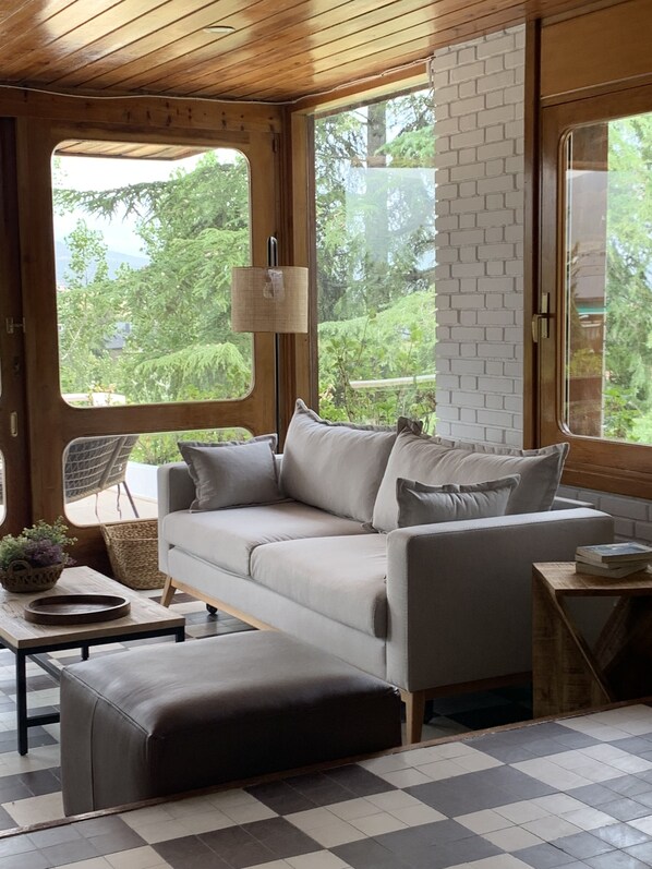 TV, fireplace, books