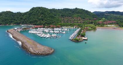 Bella Vista 4A 3 bdr 3 Bath Ocean View