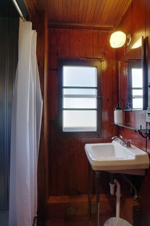 Shower, toilet paper - Cabin #6 - Greenwing Getaway (Cadillac)