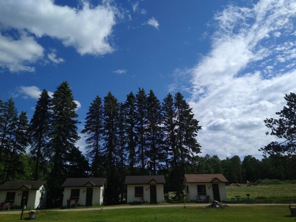 A row of small, single-story cabins with a grassy lawn in front, surrounded by tall pine trees under a partly cloudy sky.