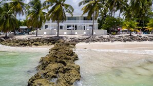 Un hotel frente a la playa con zona de piscina, palmeras y un litoral rocoso.