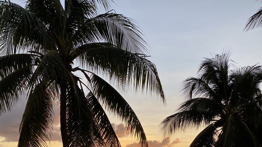 The Royal Bliss Barbados