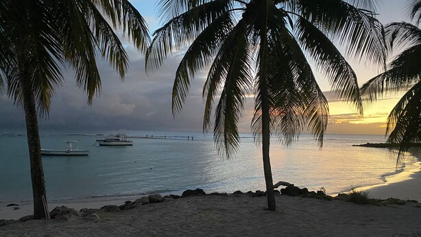 A beach with palm trees, a boat, and a calm sea during sunset. - The Royal Bliss Barbados (Worthing)