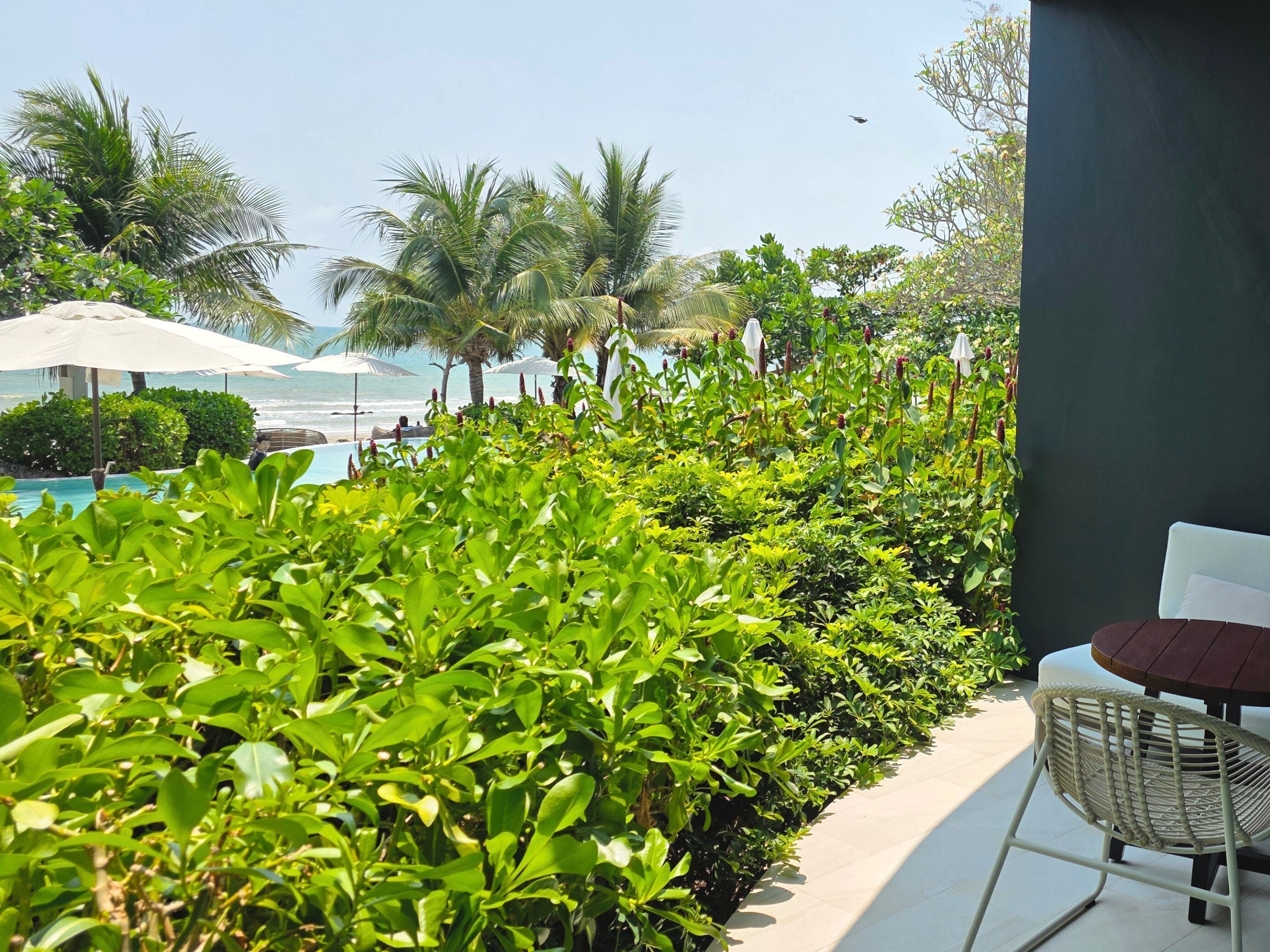 Un espace aménagé au bord de la piscine, agrémenté d’une végétation luxuriante, d’une chaise et offrant une vue sur l’océan.
