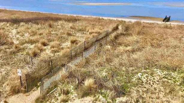 Een strand met een houten omheining en een pad naar het water.