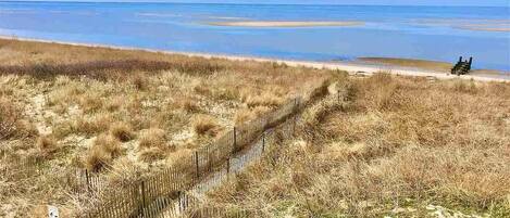On the beach, sun loungers
