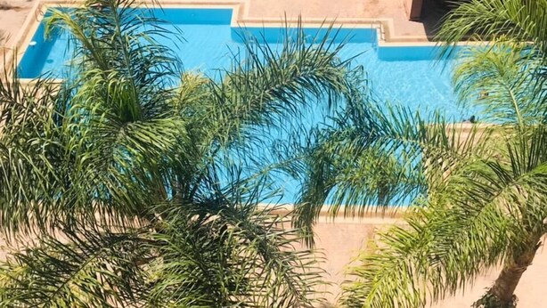 Piscina rodeada por palmeiras e um edifício com telhado vermelho.