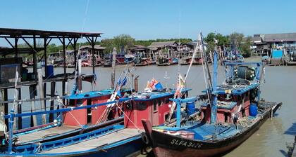 Coconut Homestay Tanjong Karang. 10 minite to Sekinchan and Kuala Selangor .